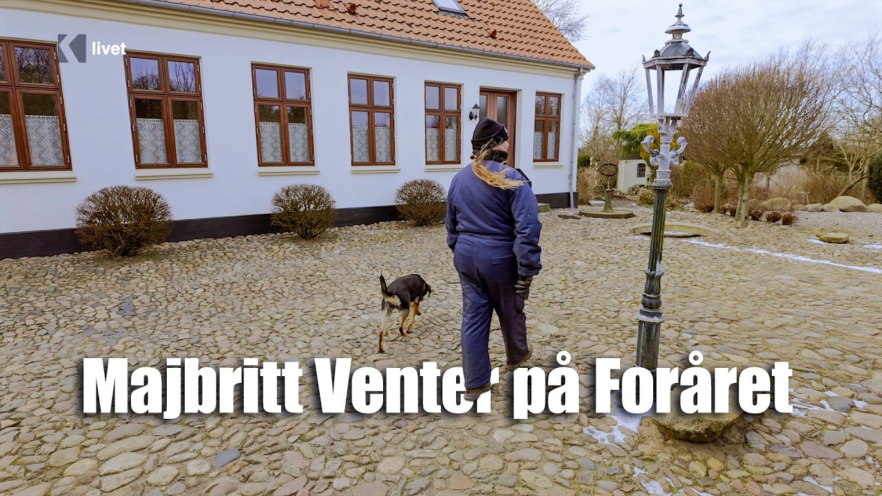 Gamle Fuglekasser Får Nyt Liv i Majbritts Have