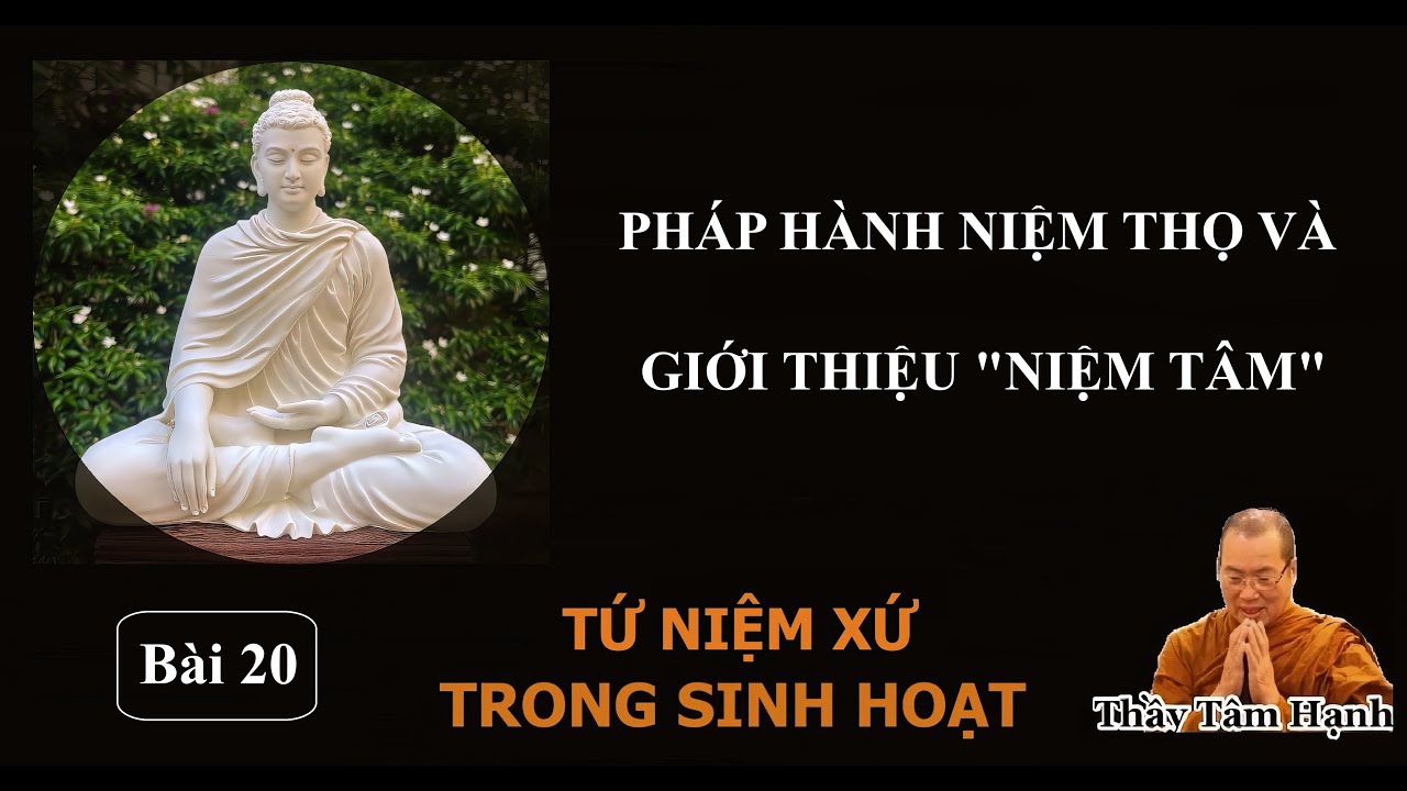 Bài 20 - Pháp hành niệm thọ và giới thiệu 