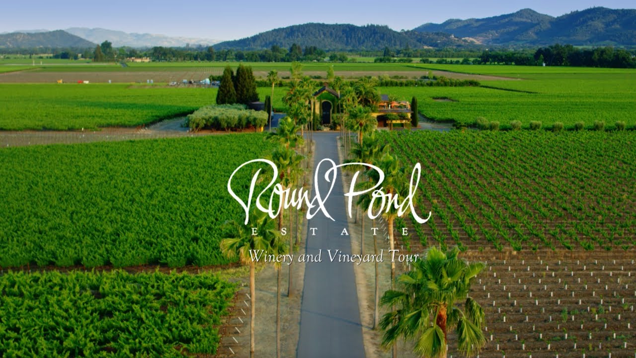 Round Pond Estate Winery & Vineyard Tour