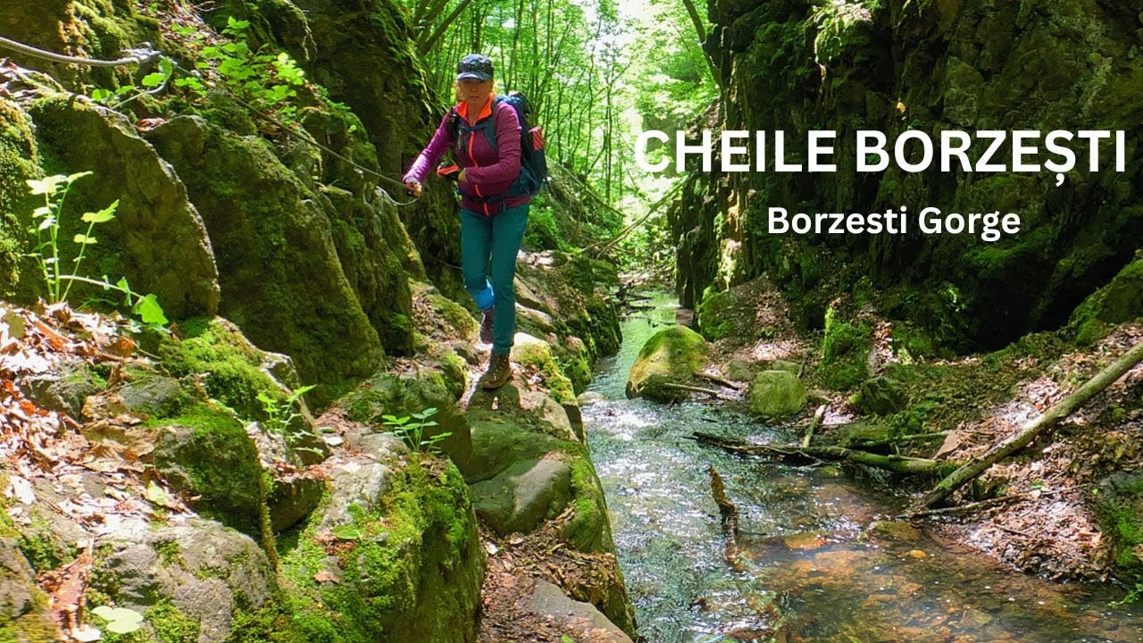 Cheile Borzești Iunie 2025