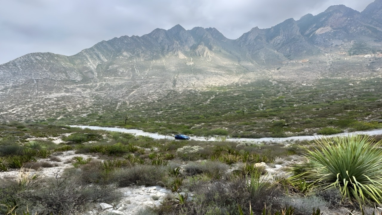 Surviving the desert - Exploring the habitat of Lophophora williamsii and Ariocarpus retusus