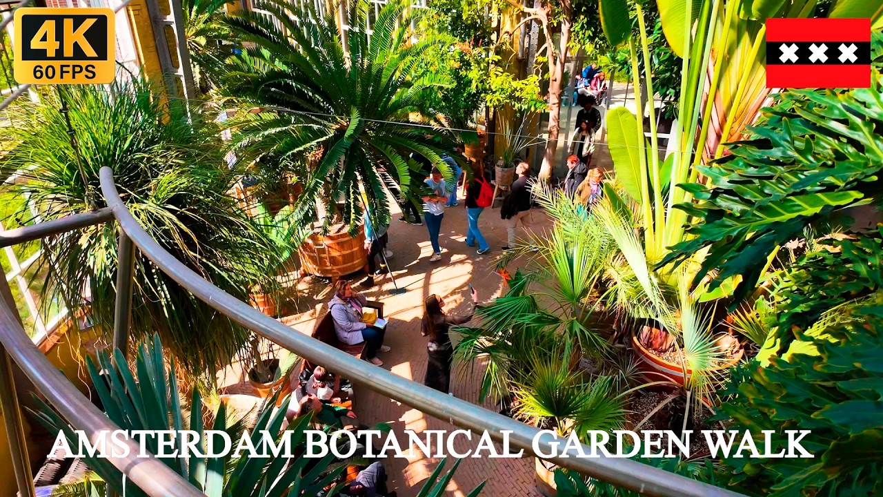 Walking Through Hortus Botanicus Amsterdam 🌿 4K Botanical Garden Tour