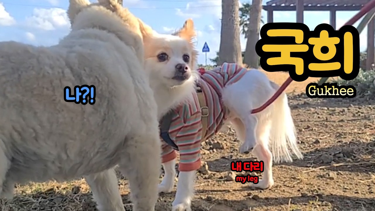 내 친구를 소개합니다 ㅣ Introducing my friend💛