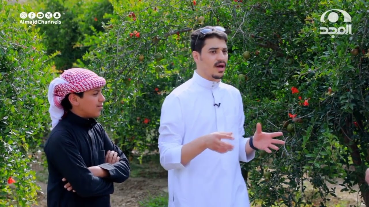 ما سر شهرة وادي بيدة بزراعة الرمان وما الذي يميز رمانه؟