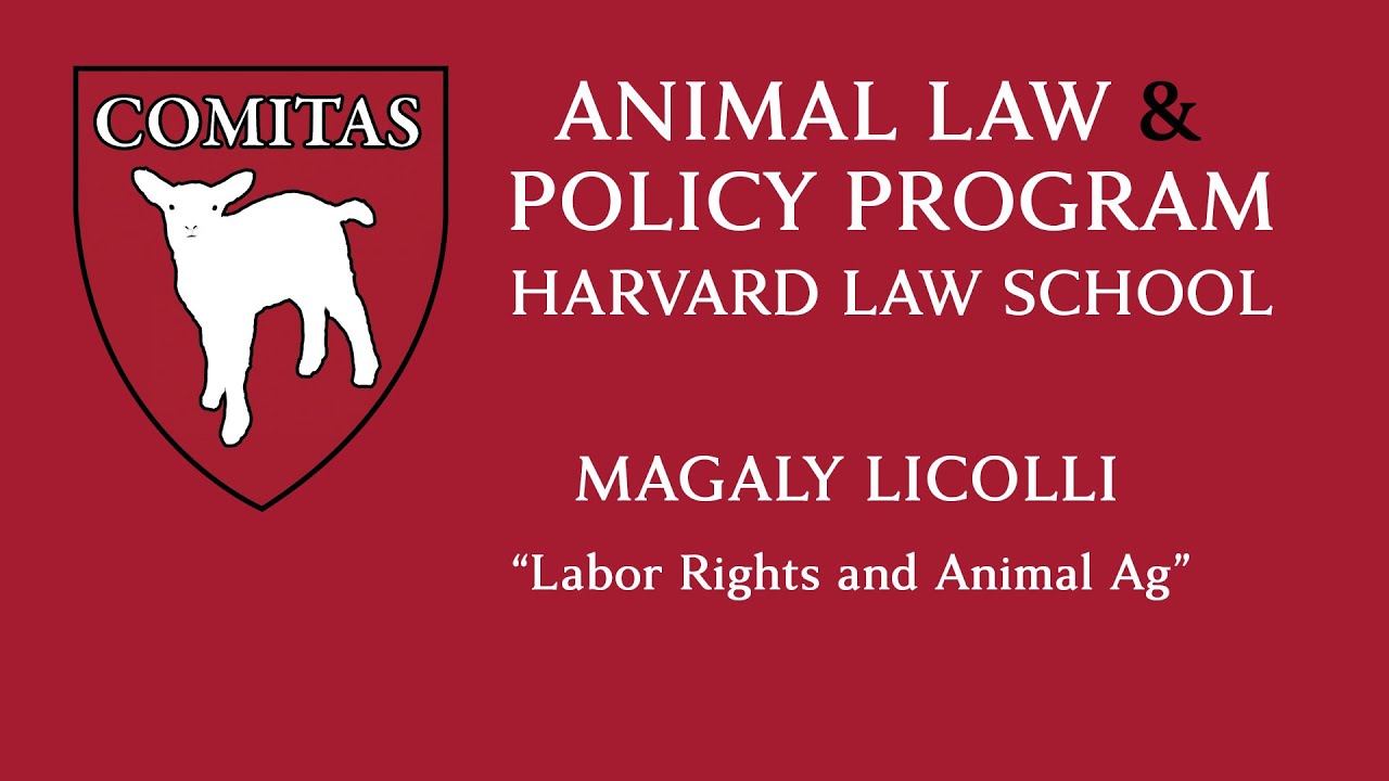 Labor Rights and Animal Ag