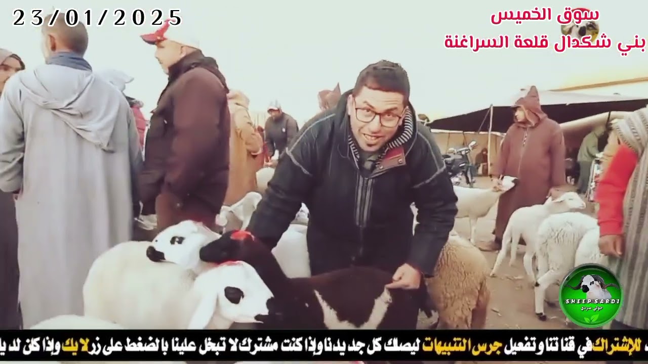 مباشرة من سوق الخميس بني شكدال قلعة السراغنة مع ثمن الحولي و الحولية بتاريخ اليوم 23/01/2025