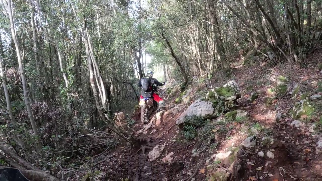 Ktm 525 exc Sherco 300  4t 
