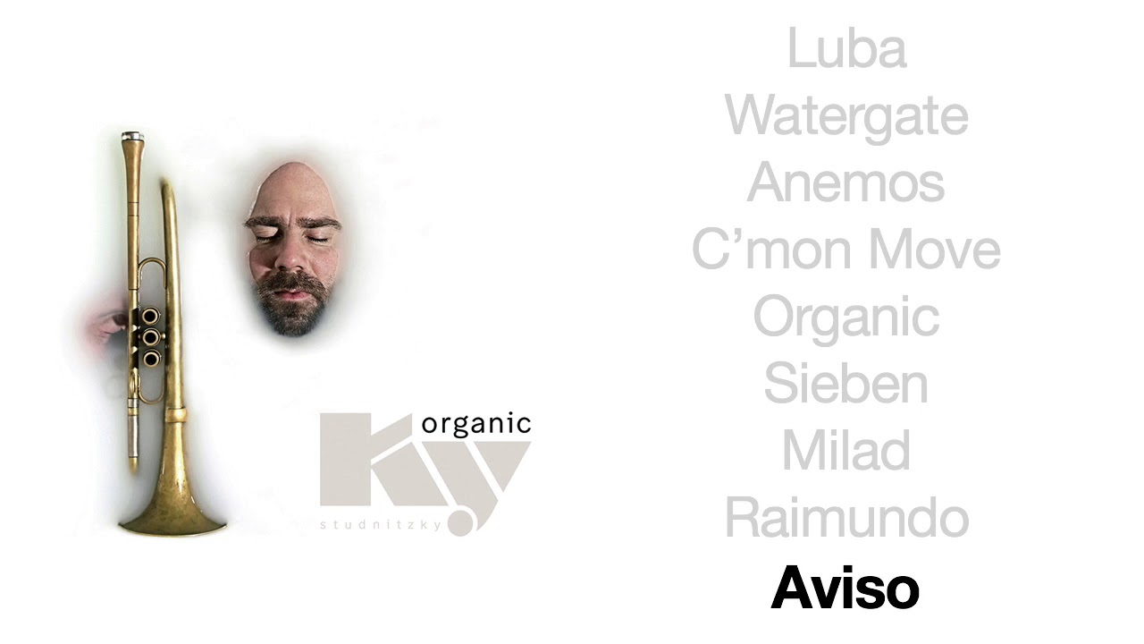 STUDNITZKY - Aviso (Official Audio | KY Organic, 2017) HD