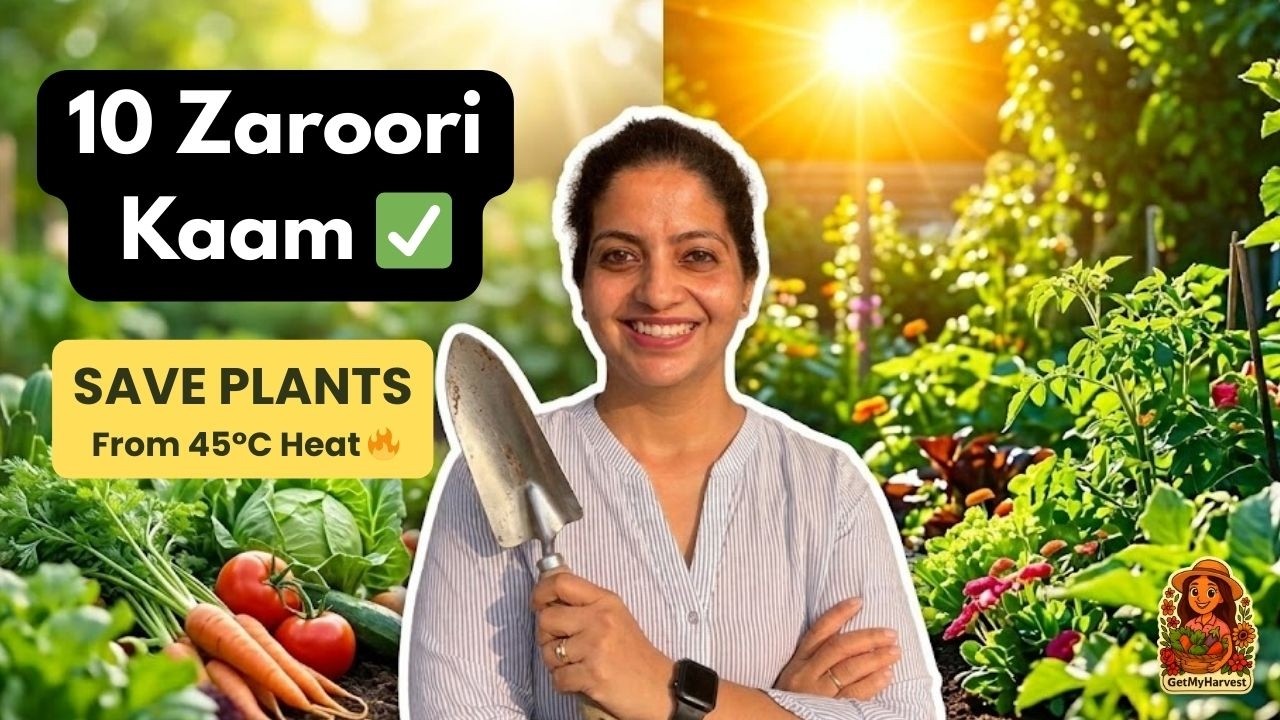 Abhi karlo ye 10 kaam! 🛑 March Gardening for Happy Plants in June ☀️✨