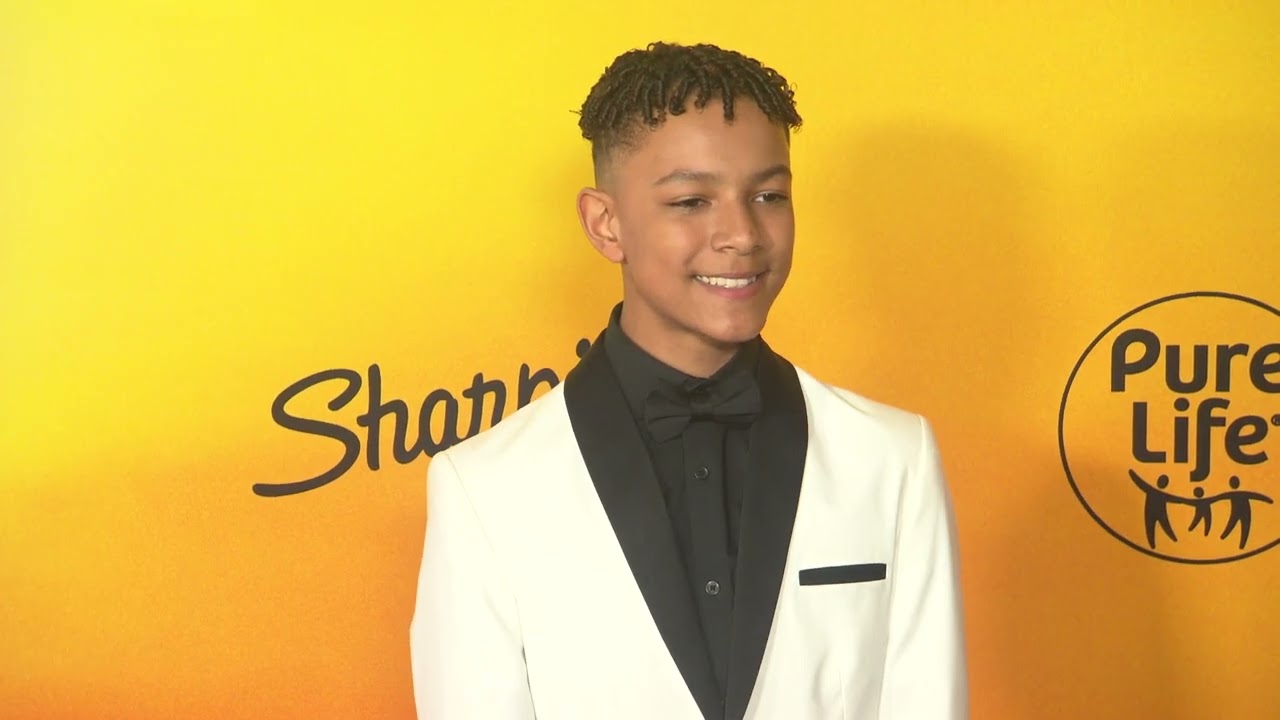 Mufasa: The Lion King: World premiere red carpet b-roll | ScreenSlam