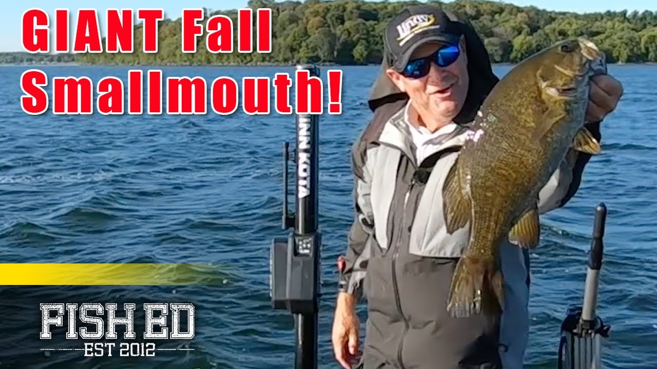 How To Target BIG Fall Smallmouth with a Lindy Rig - Fish Ed