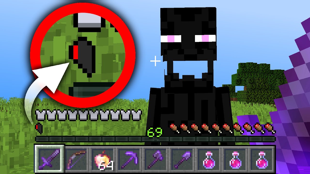 Minecraft, But Your Health Divides Every Time You Take Damage...