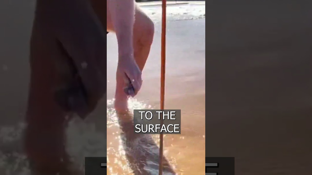 Australians compete who can get the longest WORM out of the sand