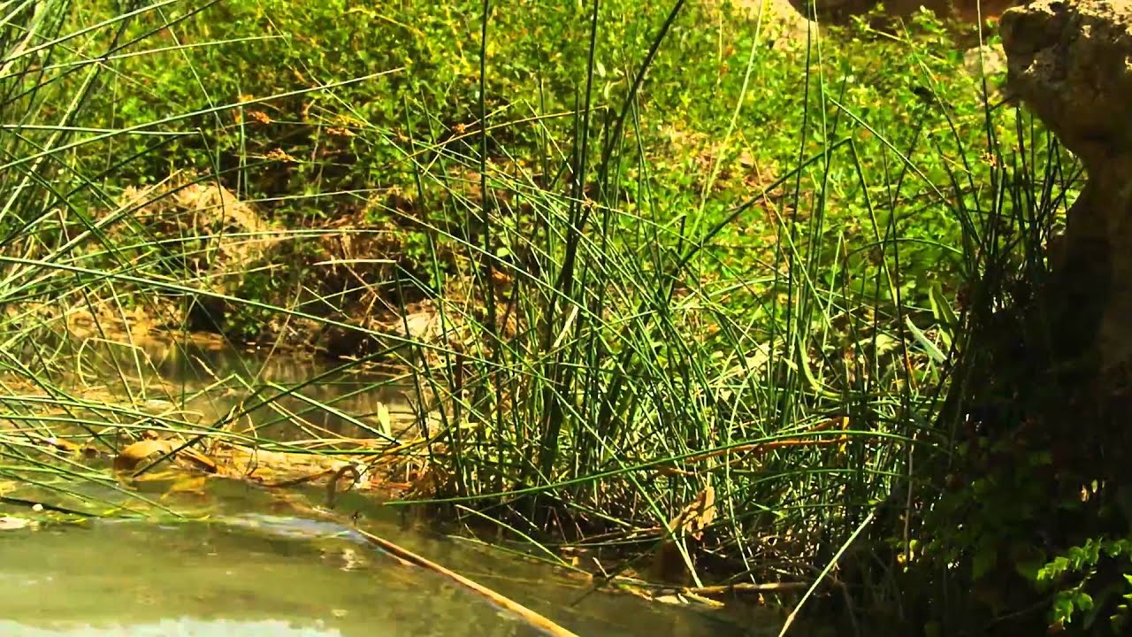 El Salto del Usero