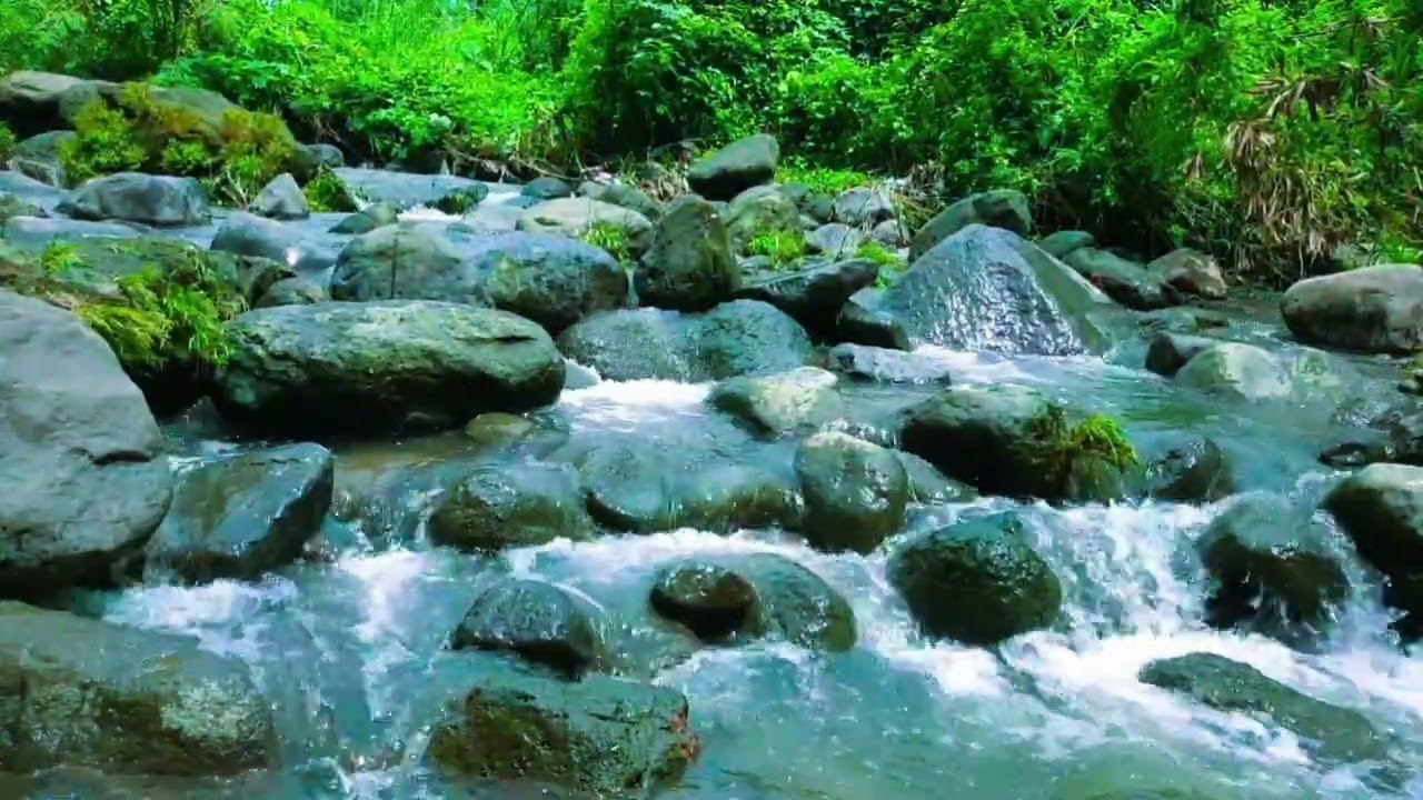 1 Hour Relaxing River Stream ASMR: Gentle Water Sounds for Deep Sleep