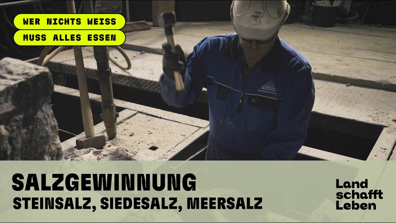 Wie wird Salz gewonnen? - Steinsalz, Siedesalz, Meersalz