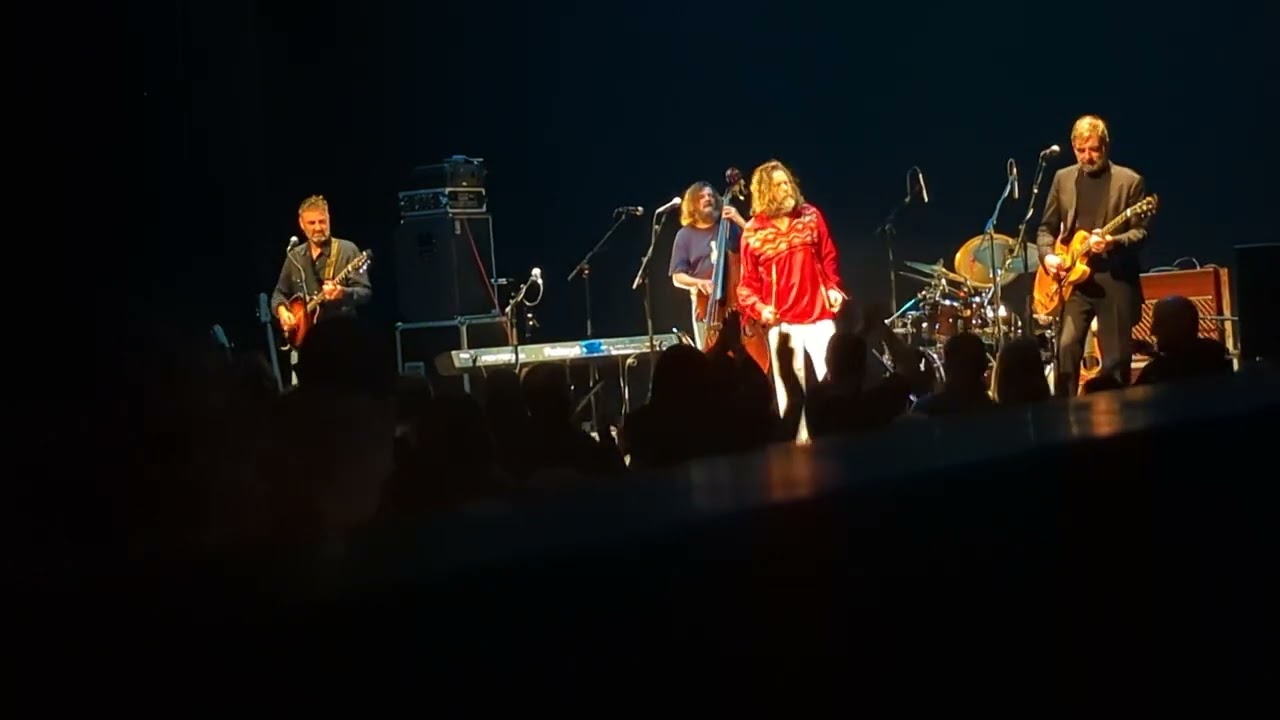 Hothouse Flowers. Seeline Woman Wexford Opera House. March 25.