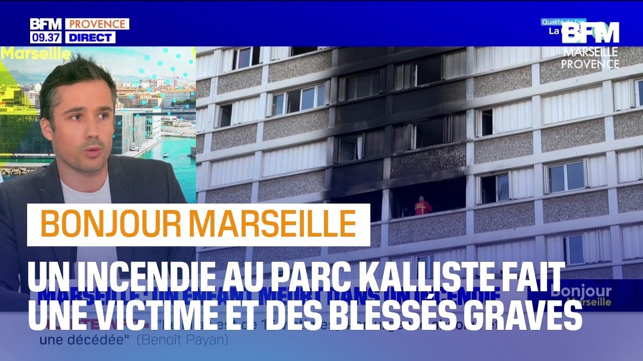 Marseille: un enfant meurt dans un incendie au Parc Kalliste