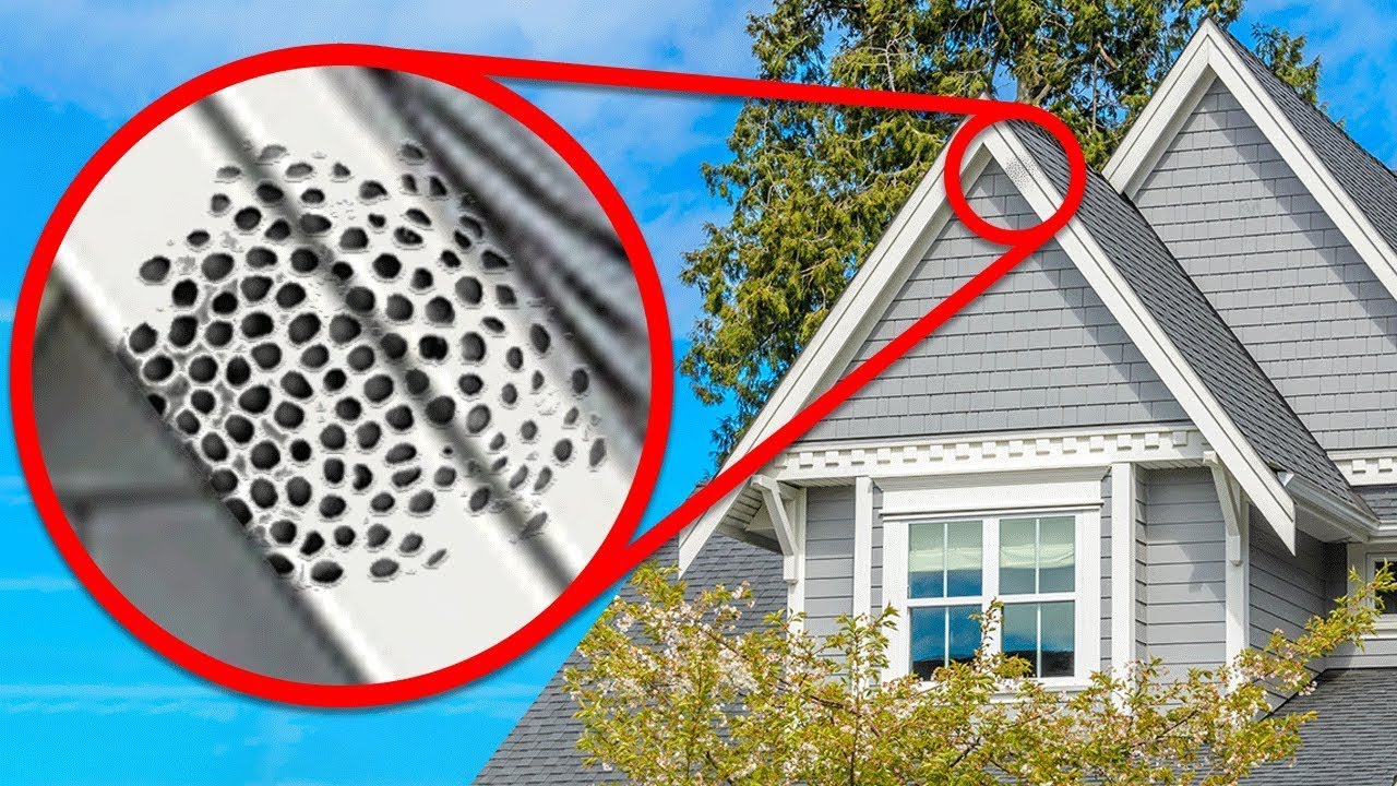When Real Estate Agents Don&rsquo;t Tell You the Truth