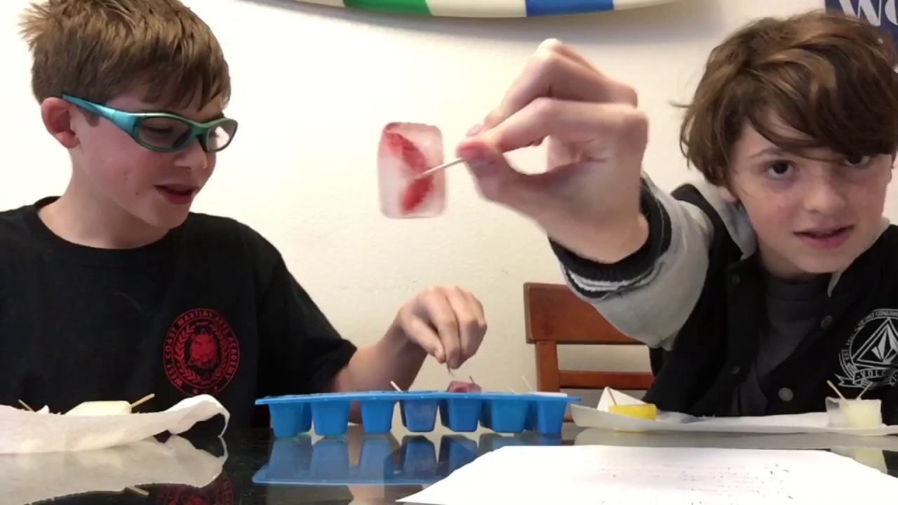 Will It Popsicle!?!