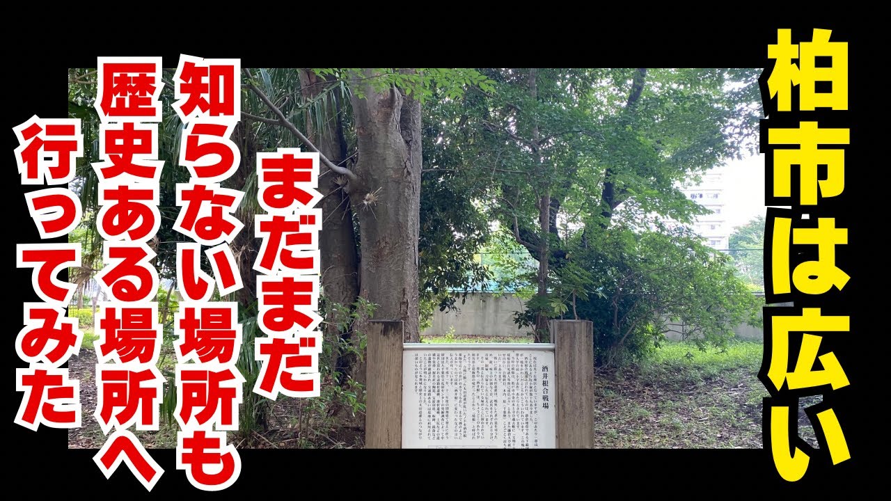 柏市は広い。歴史ある場所へ行ってみた。#歴史 #柏市