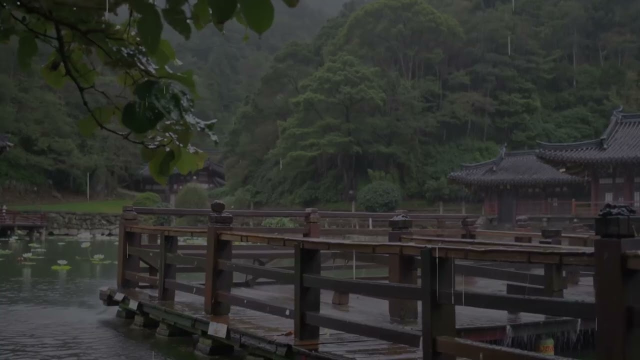 Relaxing Rainy Day at the Korean Temple Stay #asmrsounds #asmr