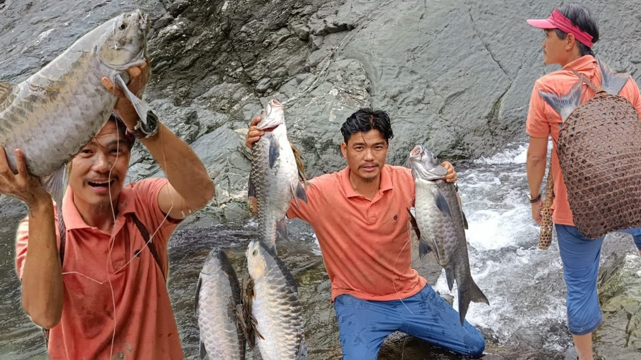 Village Fishing Tecniques | Catch Giant masheer | Arunachal Pradesh