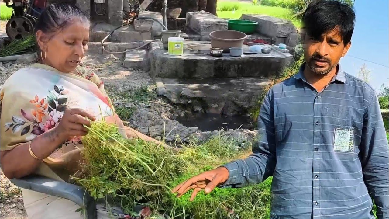 અમરવેલ ની ગુંચવણ | Gujarati Family Vlog