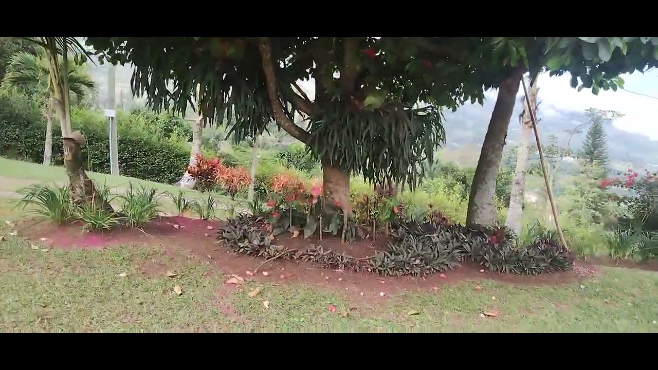 Finca Manga Arriba 
