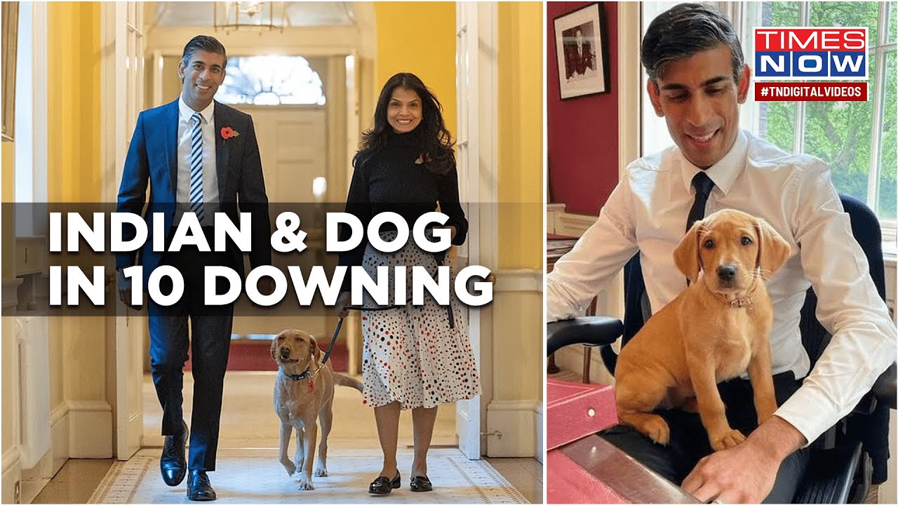 How Tables Have Turned: “Proud Hindu” Rishi Sunak Rules UK, Enters Number 10 Downing Street With Dog