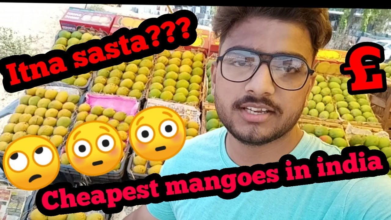Cheapest mangoes in the india.Kesar,Hafus. sabse saste aam🍋🍋🍋