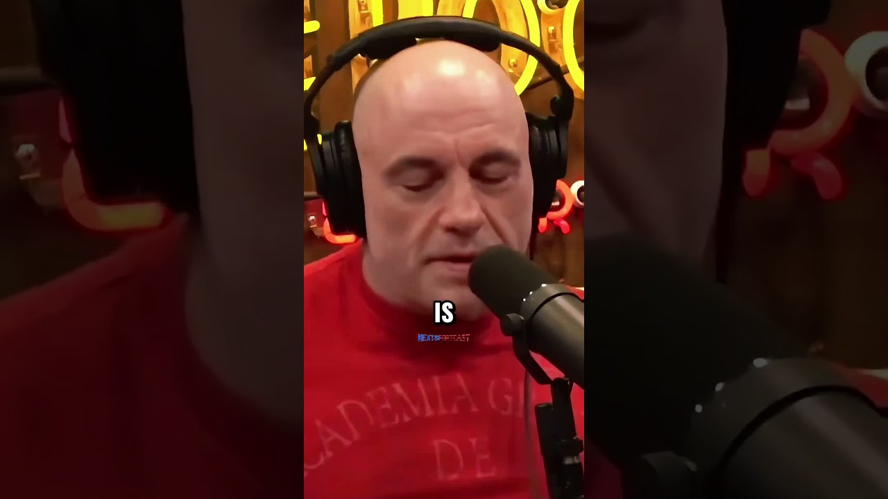 Why Cauliflower Ear is Terrible #joerogan #podcast #mma #ufc #fighter