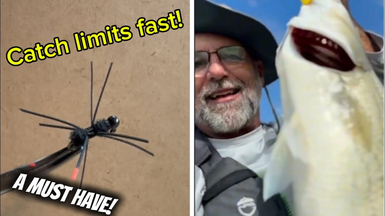 The Only Jig You Need to Catch Live Bait | Fishin Not Workin