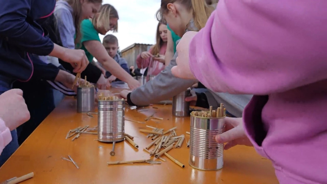 DIY Insektenhotel, Rap aus dem Taxi & inklusiver Fußball | Heimatzeit