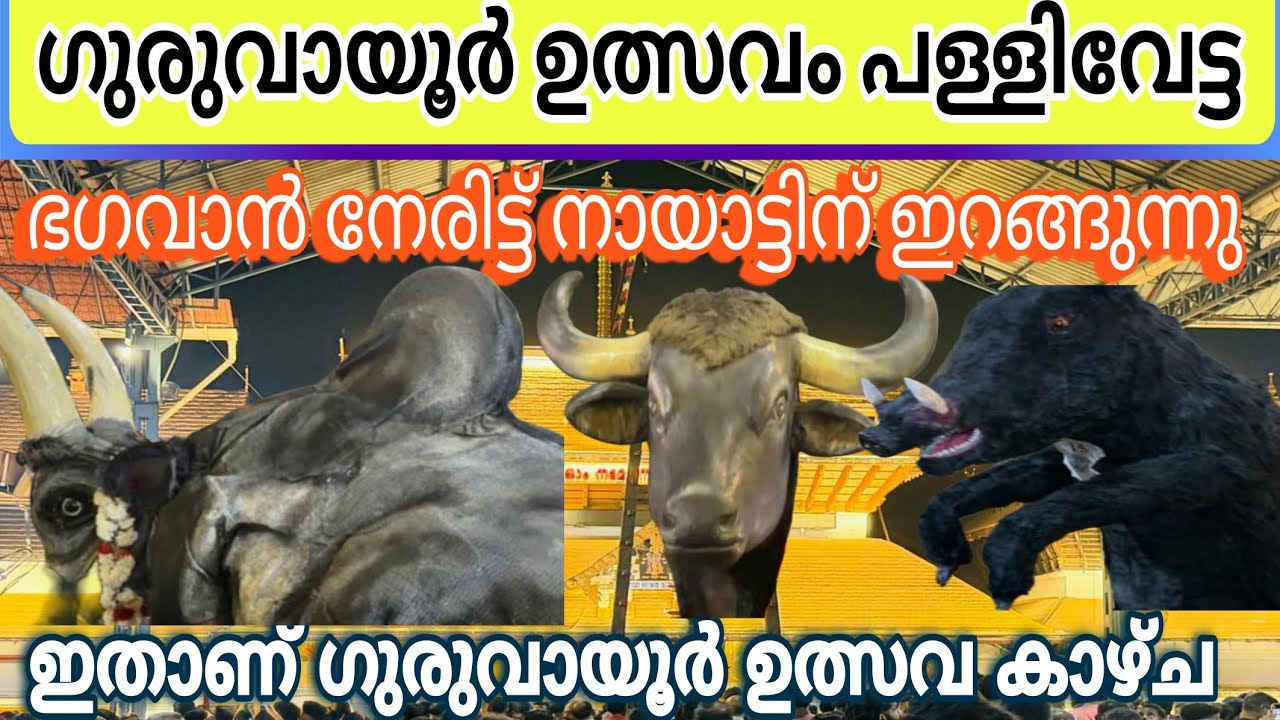 ഗുരുവായൂരപ്പൻ നേരിട്ട് പള്ളിവേട്ടക്ക് വരുന്നകാഴ്ച  | Guruvayur Ulsavam Pallivetta 2026 #viralvideo 