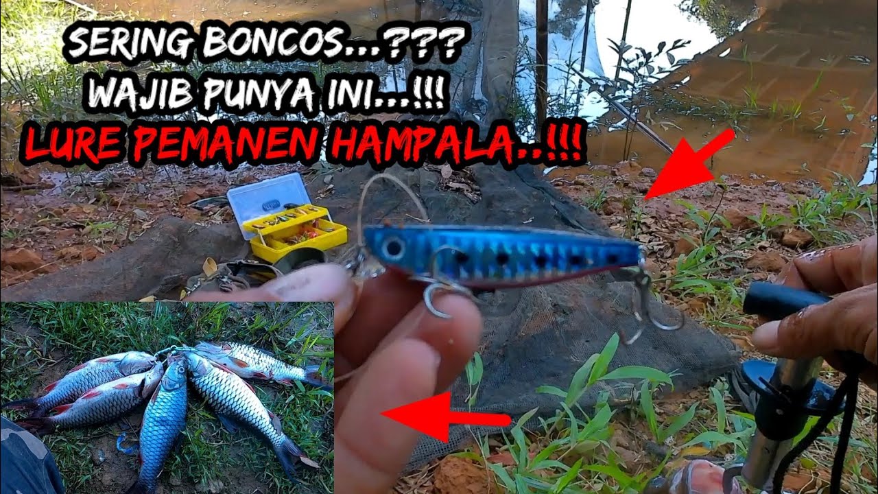 PANEN HAMPALA ||LOKASI MANCING HAMPALA TERBAIK..!!  CASTING HAMPALA BESAR DI BAWAH JEMBATAN