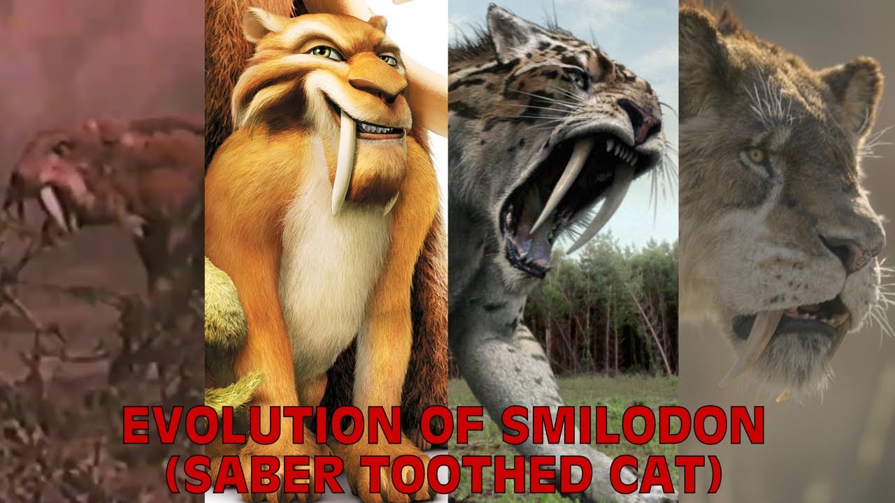 Evolution Of Smilodon (Saber Toothed Cat) In Movies, TV Shows, Documentaries, Games, & Paleo Media