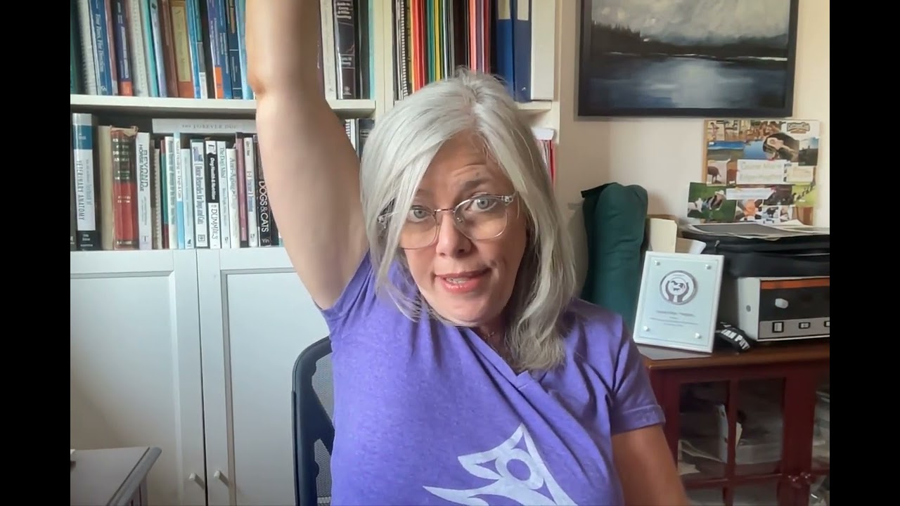FourLegRehabMinute-ShoulderInstabilityMuscleThoughts