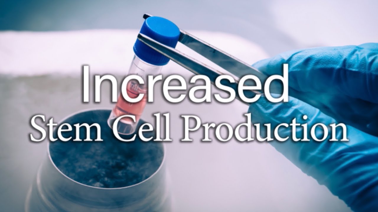 Increased Stem Cell Production (Morphic Healing Field)
