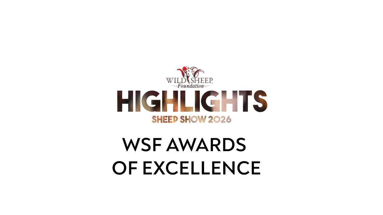 FRI05 Awards of Excellence