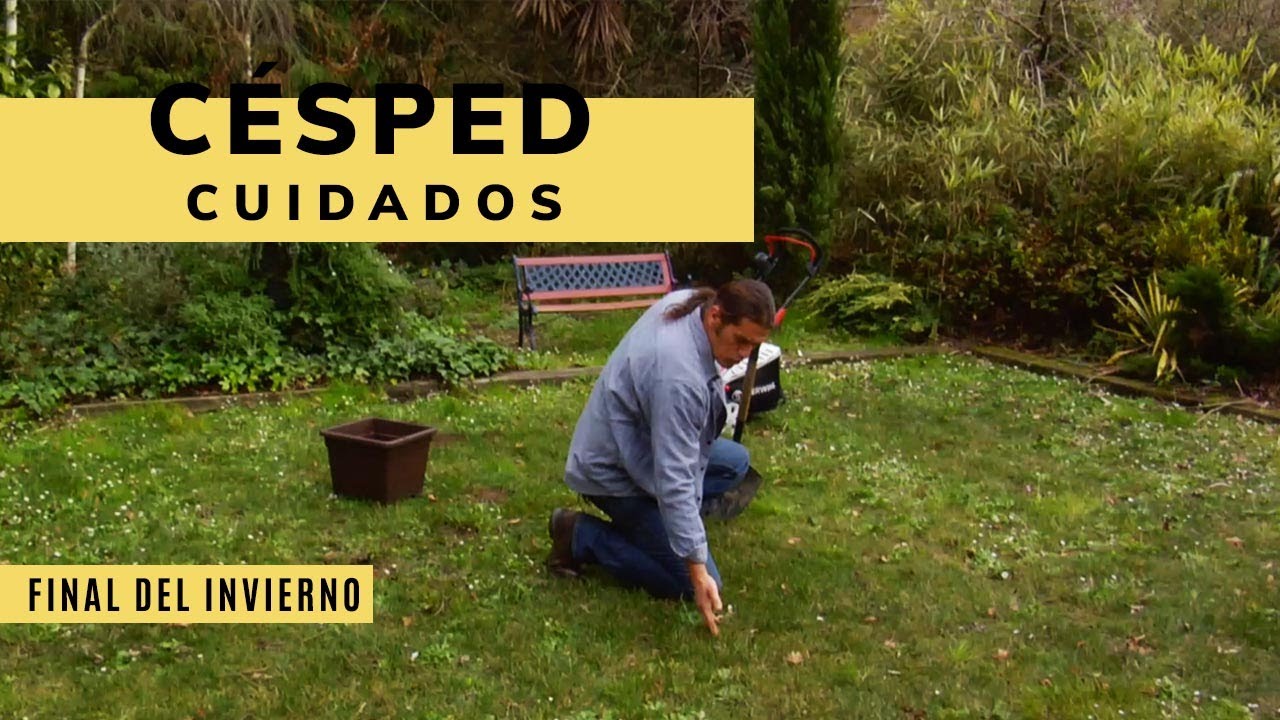 Cuidados del CÉSPED a finales de invierno - Bricomanía - Jardinatis
