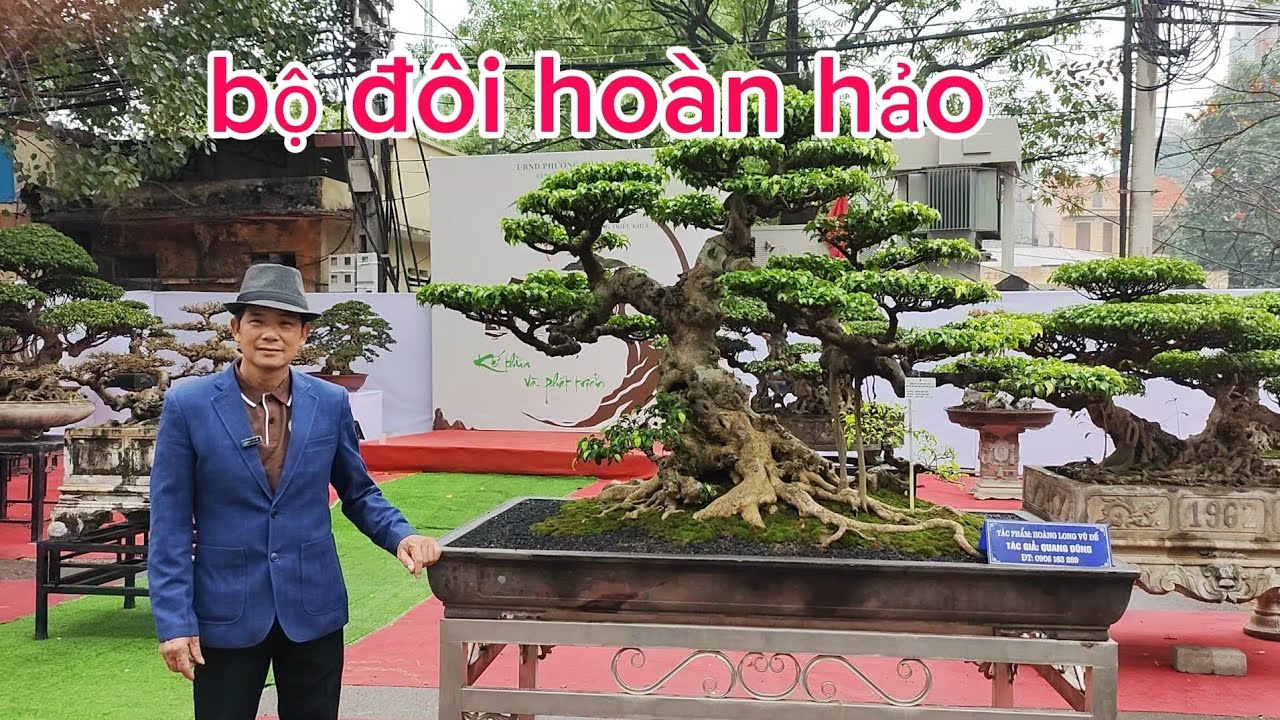 Bộ đôi hoàn hảo của Quang Dũng tham gia trưng bày tại Triều Khúc