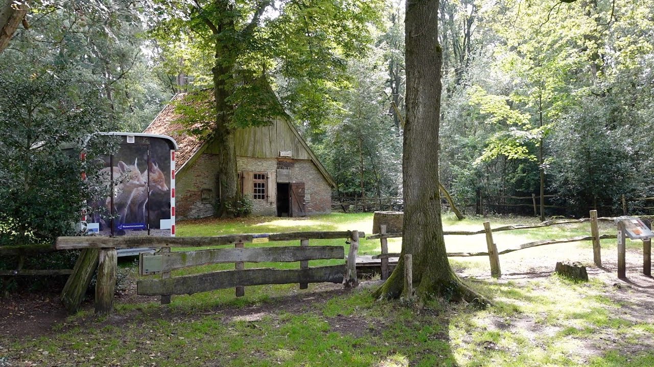 Op stap met boswachters Ellen en Simone in Twente #7 Los hoes De Bommelas