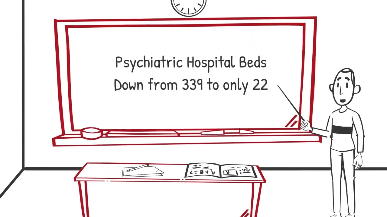 History of Peer Support Mental Health Movement