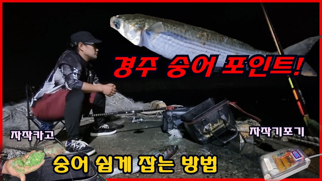 숭어 줄줄이 올라오는 내항 - 자작카고채비 원투 찌 낚시 경주 읍천항 포인트! ボラ(鯔) cá đối nhảy nên cá bống cũng nhảy 숭어회뜨기