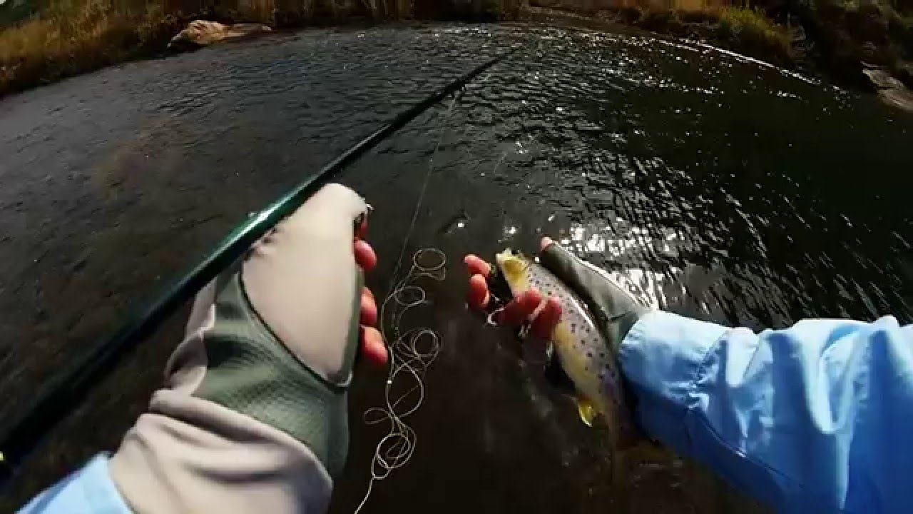 Bushman's River Browns on Dry Fly (2014)