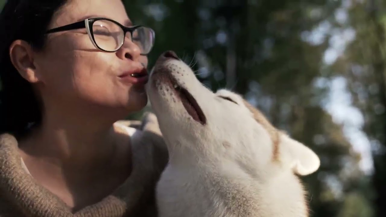 dog healing sounds│Puppy Calm Lab