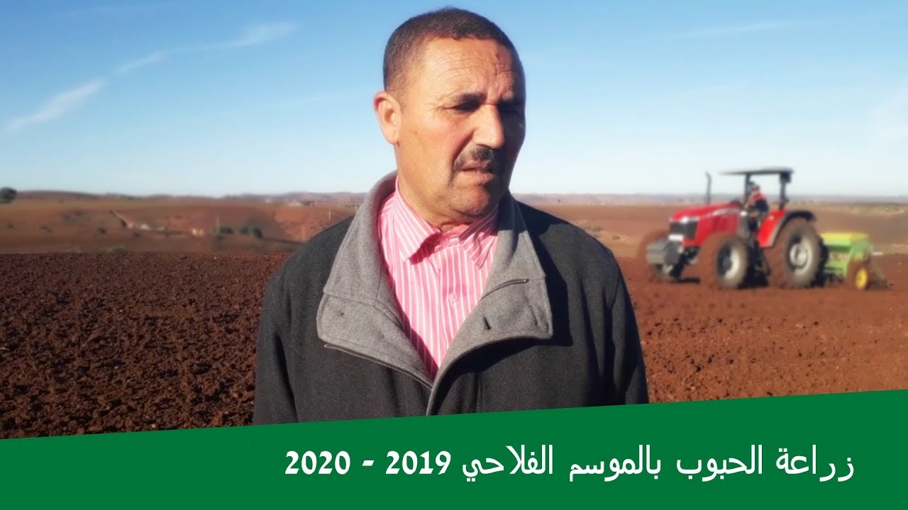 زراعة بذور القمح وتجهيز الارض لعملية الزراعة