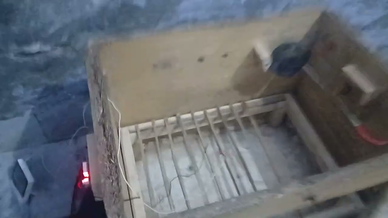 My home made eggs incubator 