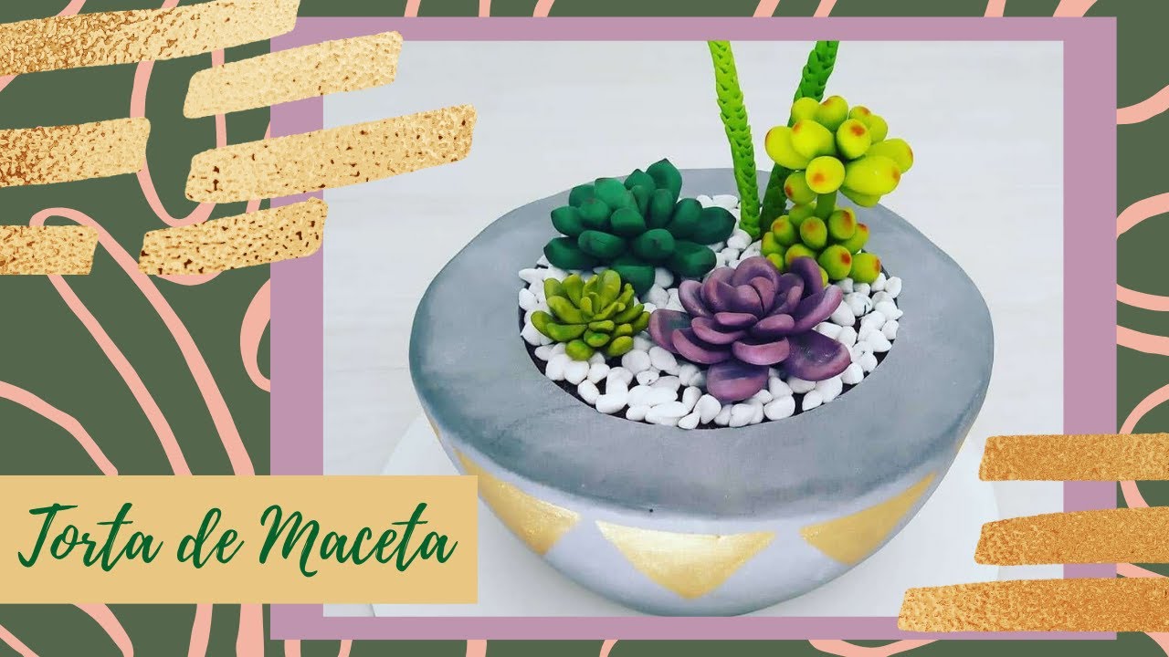Como hacer Torta de Maceta de Suculentas, maceta comestible. PASO A PASO